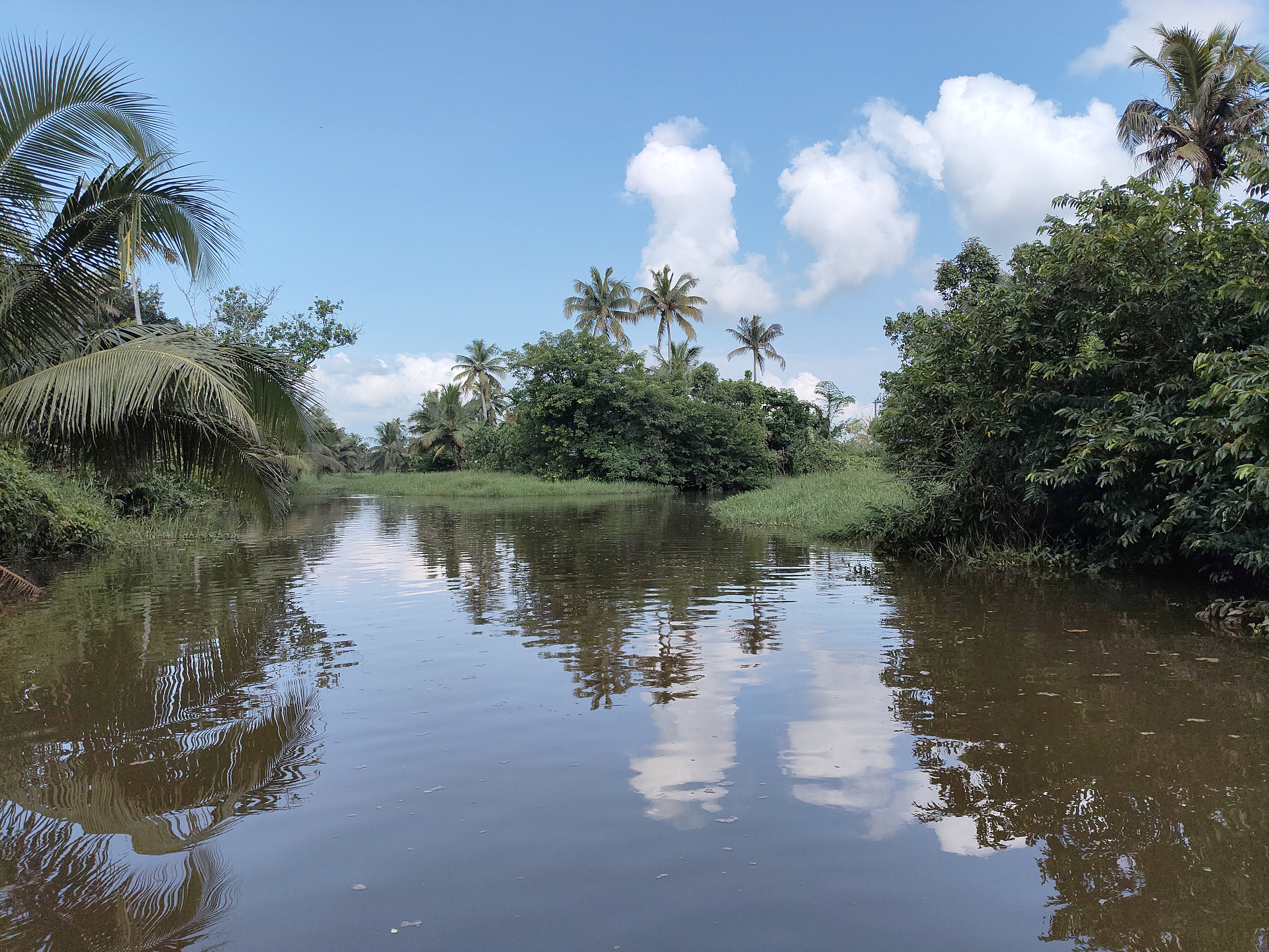 kerala backwaters